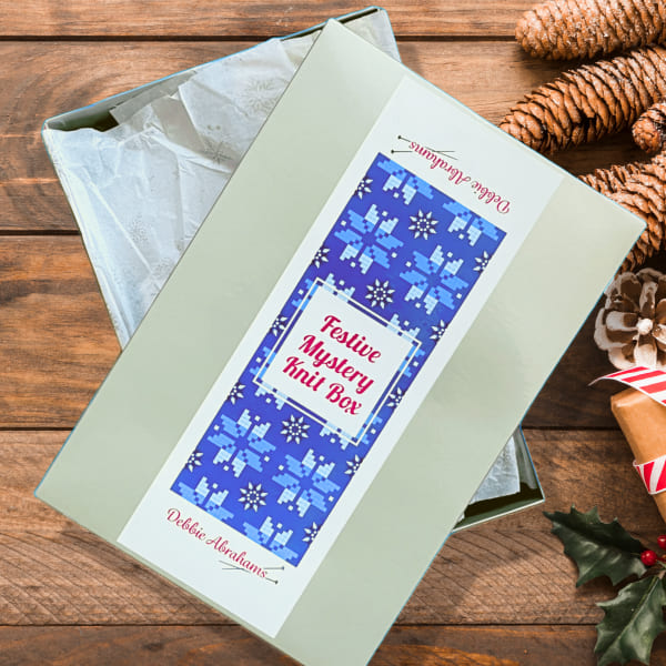 Festive Mystery Knit Box (2025)