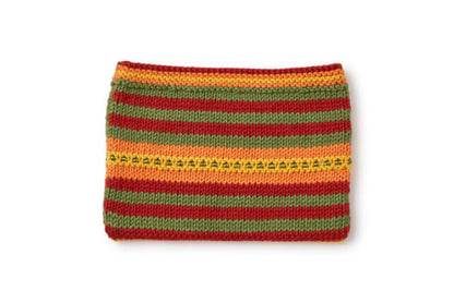Autumn Purse Knitting Kit